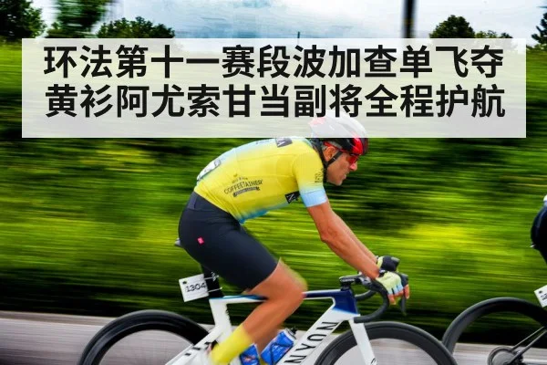yellow jersey cycling race